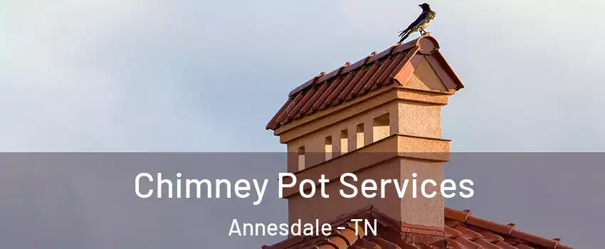 Chimney Pot Services Annesdale - TN