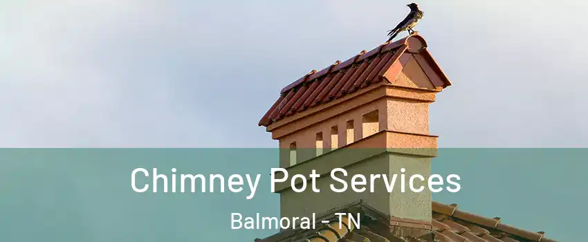 Chimney Pot Services Balmoral - TN