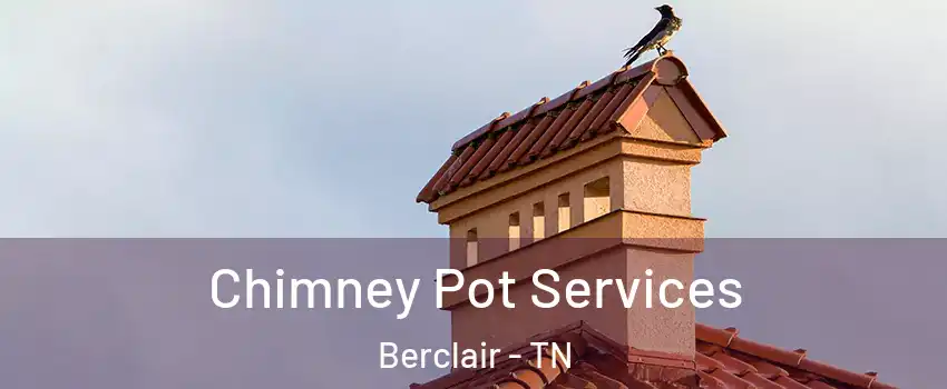 Chimney Pot Services Berclair - TN