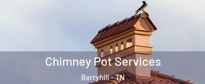 Chimney Pot Services Berryhill - TN