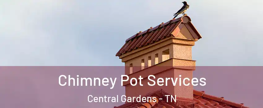 Chimney Pot Services Central Gardens - TN