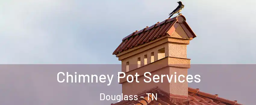 Chimney Pot Services Douglass - TN