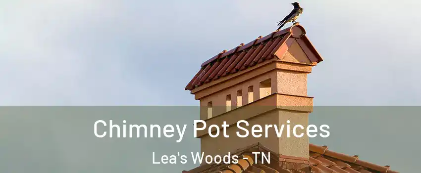 Chimney Pot Services Lea's Woods - TN