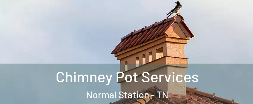 Chimney Pot Services Normal Station - TN