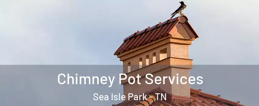 Chimney Pot Services Sea Isle Park - TN