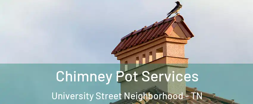 Chimney Pot Services University Street Neighborhood - TN