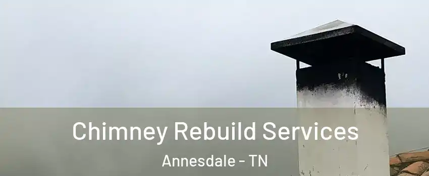 Chimney Rebuild Services Annesdale - TN