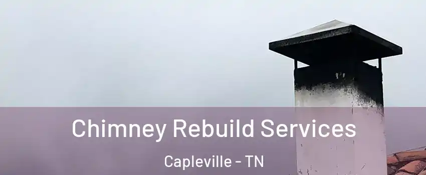 Chimney Rebuild Services Capleville - TN