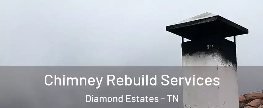 Chimney Rebuild Services Diamond Estates - TN