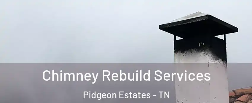 Chimney Rebuild Services Pidgeon Estates - TN