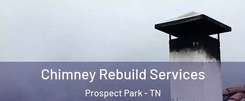 Chimney Rebuild Services Prospect Park - TN