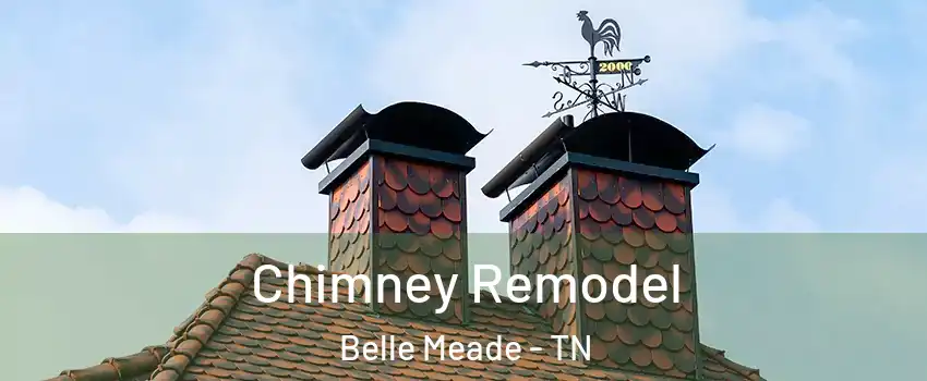 Chimney Remodel Belle Meade - TN