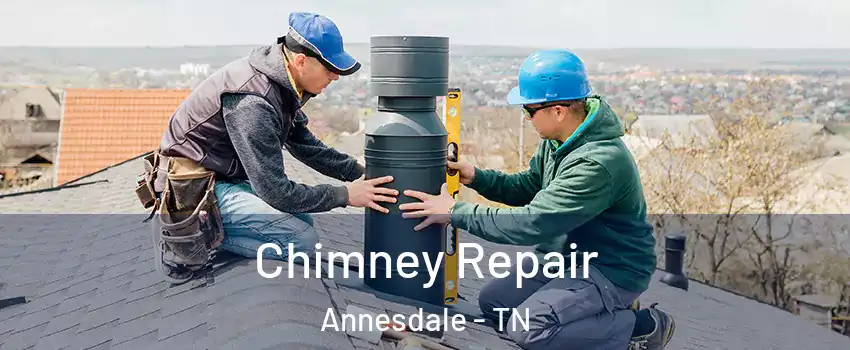 Chimney Repair Annesdale - TN