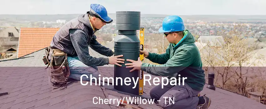 Chimney Repair Cherry/Willow - TN