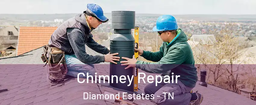 Chimney Repair Diamond Estates - TN