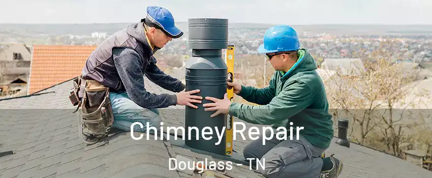 Chimney Repair Douglass - TN