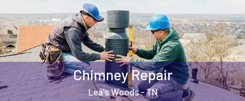 Chimney Repair Lea's Woods - TN