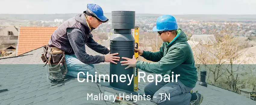 Chimney Repair Mallory Heights - TN