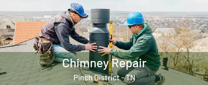 Chimney Repair Pinch District - TN