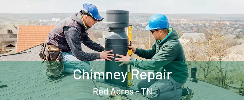 Chimney Repair Red Acres - TN