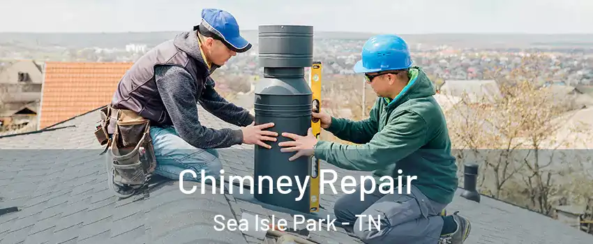 Chimney Repair Sea Isle Park - TN