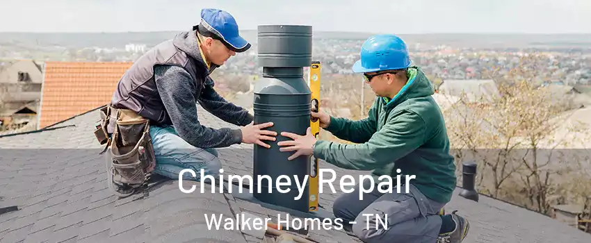 Chimney Repair Walker Homes - TN