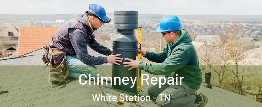 Chimney Repair White Station - TN