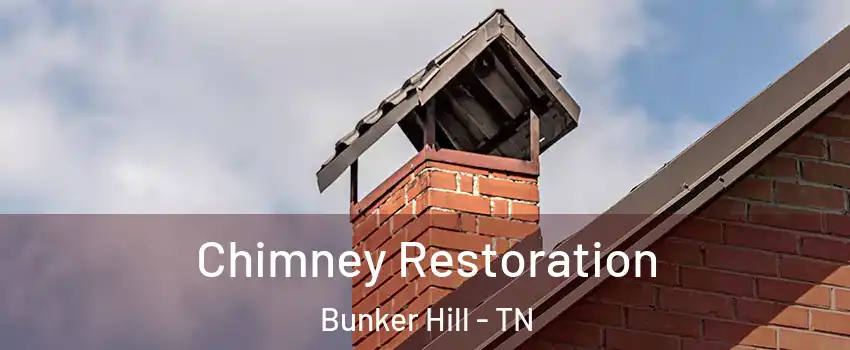 Chimney Restoration Bunker Hill - TN