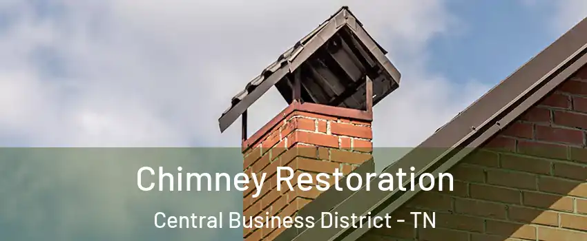 Chimney Restoration Central Business District - TN