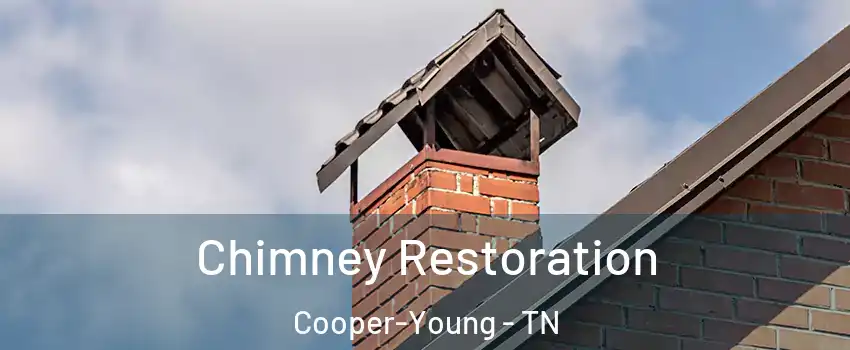 Chimney Restoration Cooper-Young - TN