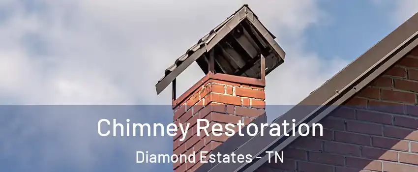 Chimney Restoration Diamond Estates - TN