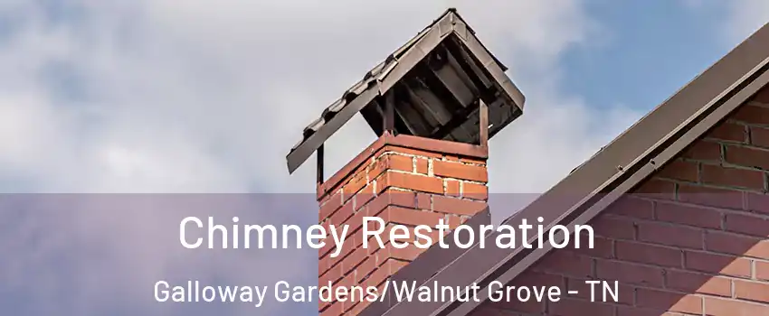 Chimney Restoration Galloway Gardens/Walnut Grove - TN