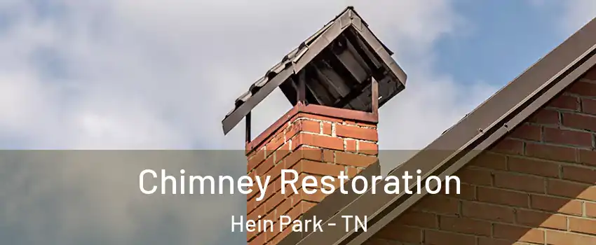 Chimney Restoration Hein Park - TN