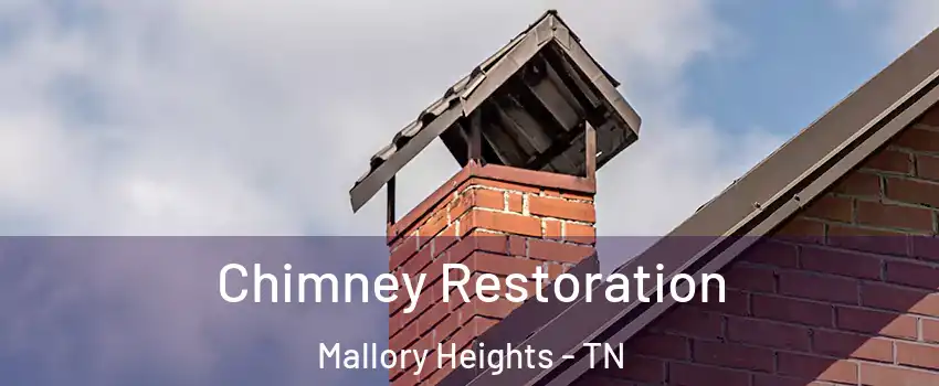 Chimney Restoration Mallory Heights - TN