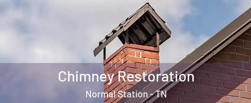 Chimney Restoration Normal Station - TN