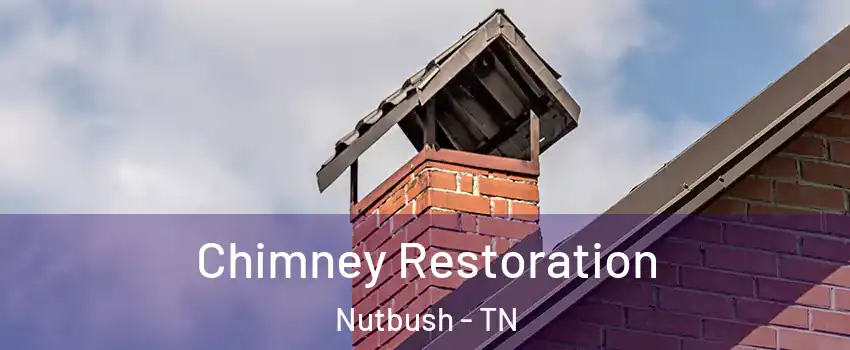 Chimney Restoration Nutbush - TN