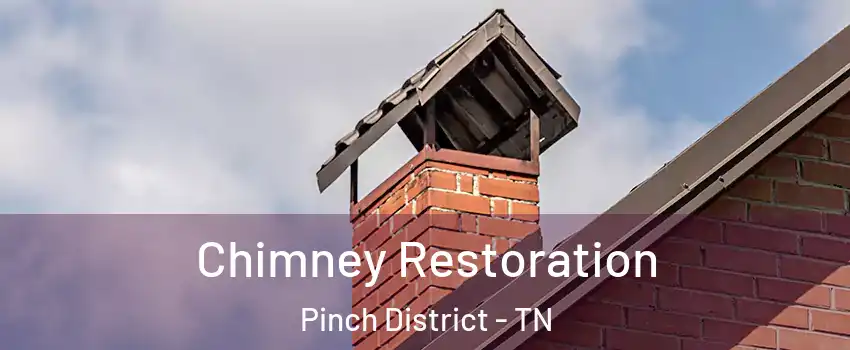 Chimney Restoration Pinch District - TN