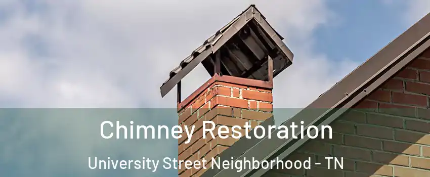 Chimney Restoration University Street Neighborhood - TN