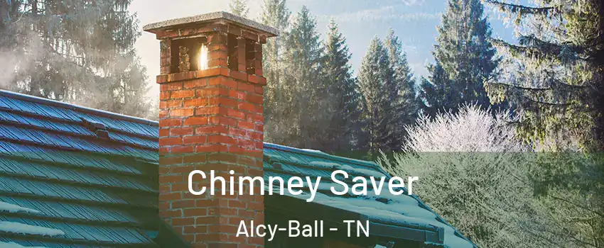 Chimney Saver Alcy-Ball - TN