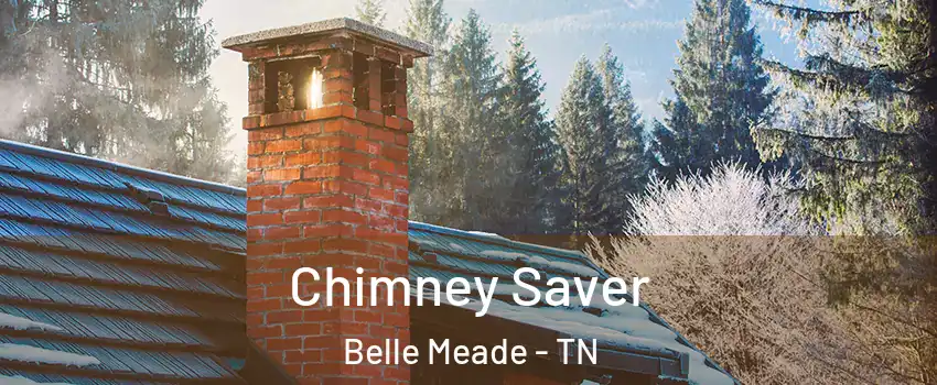 Chimney Saver Belle Meade - TN