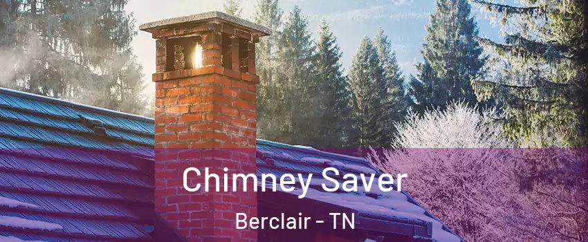 Chimney Saver Berclair - TN