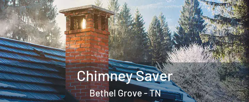 Chimney Saver Bethel Grove - TN