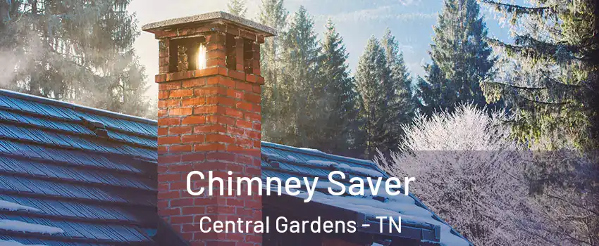 Chimney Saver Central Gardens - TN