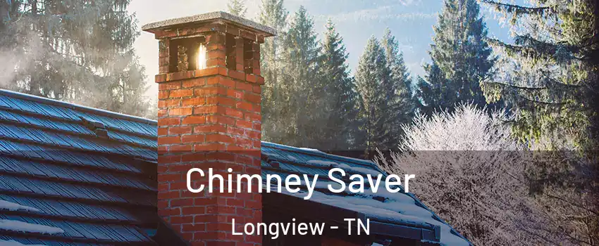 Chimney Saver Longview - TN