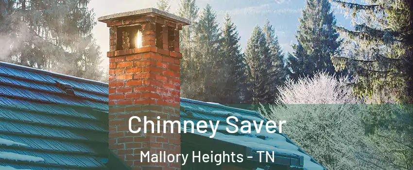 Chimney Saver Mallory Heights - TN