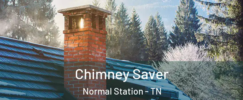 Chimney Saver Normal Station - TN