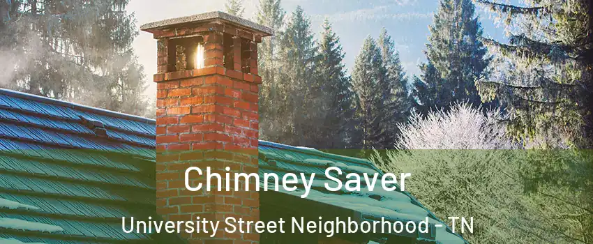 Chimney Saver University Street Neighborhood - TN