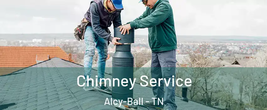 Chimney Service Alcy-Ball - TN