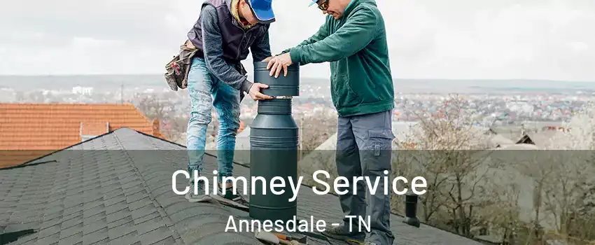 Chimney Service Annesdale - TN