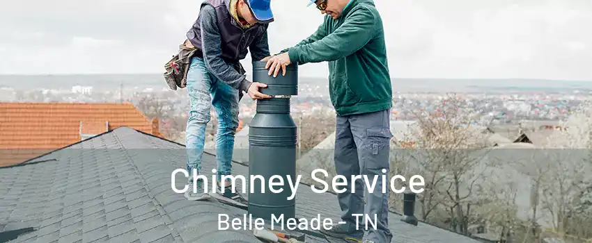 Chimney Service Belle Meade - TN